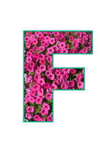 stylish letter F text typography font lettering symbol graphic colorful natural spring magenta pink petunia flowers element inside outline elegant greeting invite invitation card artwork decoration