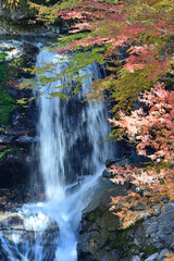 四国徳島県の大轟の滝