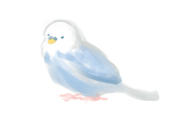 インコ（青）　水彩タッチ