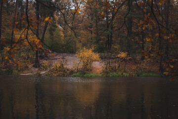 Fototapeta premium autumn trees reflected in water