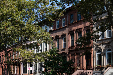 Fototapeta na wymiar Row of Beautiful Old Brownstone Homes in Prospect Heights Brooklyn of New York City