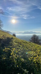 Zanzenberg Dornbirn im Herbst