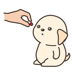 犬に薬を飲ませる