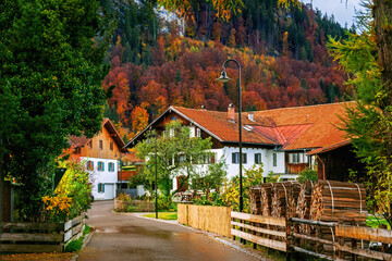 A street in Pfronten-Ried after the rain in golden autumn