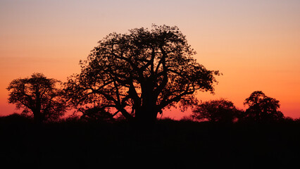 Sunset in Naye-Naye Concession Area