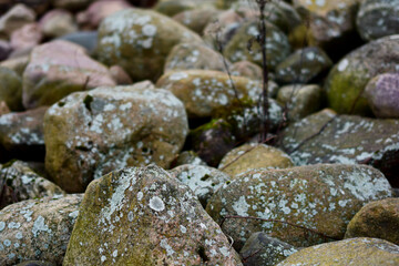 pebbles on the beach