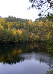 Spiegelung am Steinbruchsee. Herbstwald an einer Steilküste