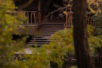 Stairs from the wooden gazebo leading to the water