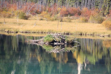 The Beaver Lodge, Jasper National Park, Alberta