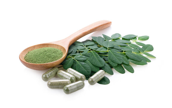Dried moringa leaves and fresh on white background
