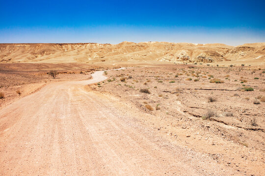waste land desert landscape scenic view warming environment space photography with sand stone dry ground and dirt lonely trail to horizon in bright clear weather day