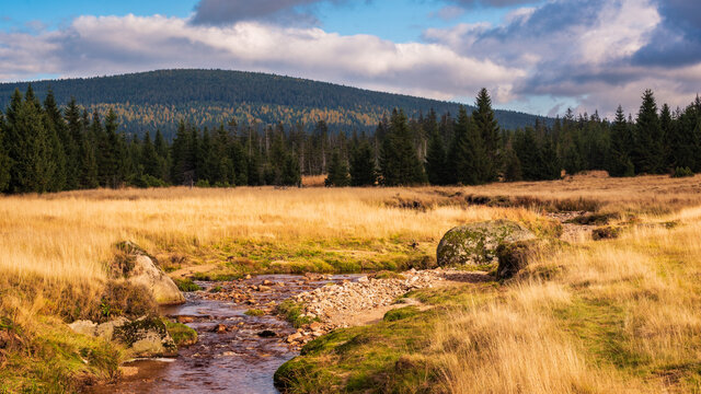 G&oacute;rska hala i potok