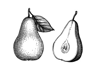 Ink sketch of pear.