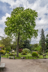 Fototapeta na wymiar Jardin d'Acclimatation (1860) - park in Bois de Boulogne. Paris, France.