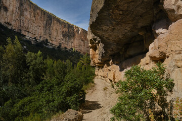 type of parts of the rocky mountains