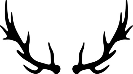Vector illustration of the deer antlers