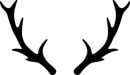 Vector illustration of the deer antlers