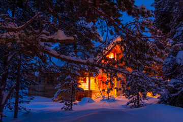 Snowy Pine Branches and Lighted Forest Cottage