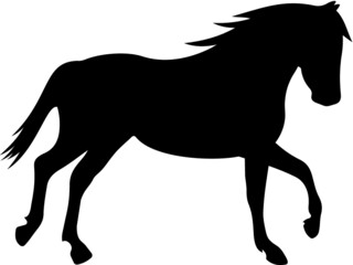 Vector illustration of the horse silhouette