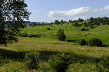 Das Naturschutzgebiet Lange Rh&ouml;n in der Kernzone des Biosph&auml;renreservat Rh&ouml;n, Bayerischen Rh&ouml;n, Landkreis Rh&ouml;n-Grabfeld, Unterfranken, Bayern, Deutschland