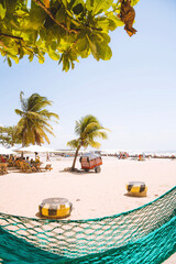 beach with palm trees