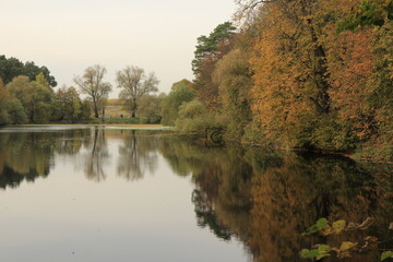 autumn in the park: reflections in the pond