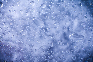 Water drops in macro in a dark violet background. Water drops in macro.