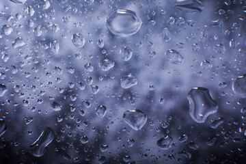 Water drops in macro in a dark violet background. Water drops in macro.	