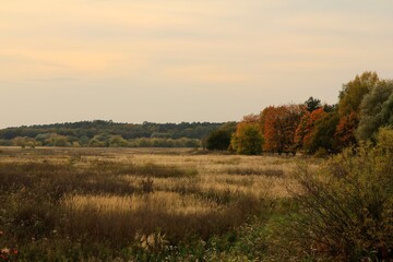 Fototapeta na wymiar Autumn landscape in the village
