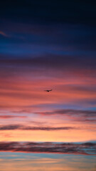sunset over the sea