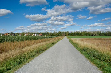 Path in nature