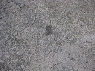 Sol en béton avec des fissures
