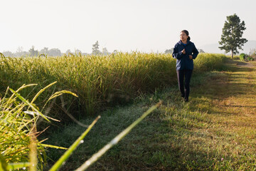 Naklejka na ściany i meble Asian mature adult senior woman jogging in the morning in nature trail organic rice paddy field path. Healthy lifestyles and sustainability concepts.