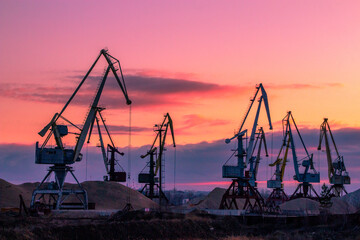 cranes at sunset