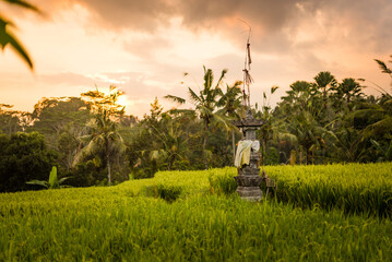 Naklejka premium Sunset over Balinese hindu temple in rice paddies with palm trees in the background