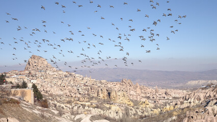 Pigeon bird group flying over Uchisar Rock Castle in Nevşehir during winter at Cappadocia , Turkey.