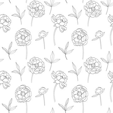 Seamless pattern with a delicate outline of peonies on a white background. Vector illustration for textiles and decor.