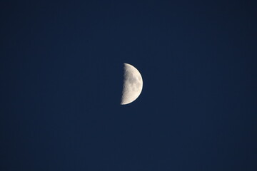 Mond