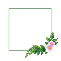 Elegeant watercolor square frame with twig of blooming rosehip in lower right corner. Hand drawn floral decorative template for postcards and invitations. Empty double-line frame with place for text