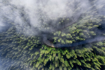 Winding road in the mountains with green trees and morning fog.