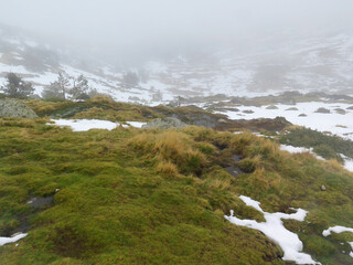 high mountain snowy meadow with fog