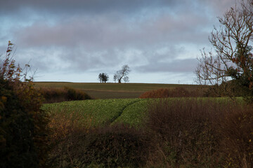 Fototapeta premium Autumn landscape scene under a cloudy sky in the rural Shropshire countryside, England.