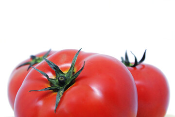 tomatoes on a white background