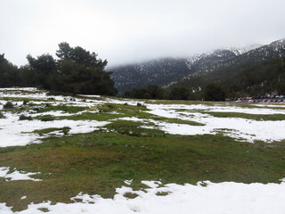 snowy meadow in a cloudy day