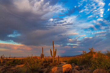 Big Sky Arizona Desert Landscape With Cactus & Mountains