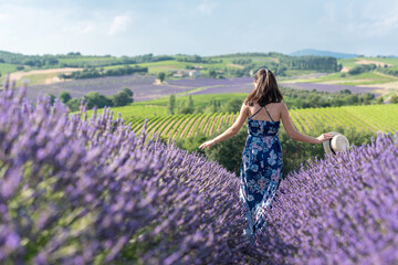 jeune fille au milieu d'un  champ de lavande