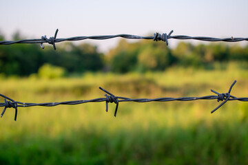 Barbed wire with blurred field background