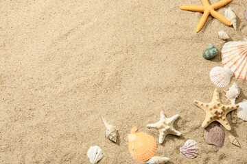 Closeup of different seashells on a sandy beach, a background with space for text