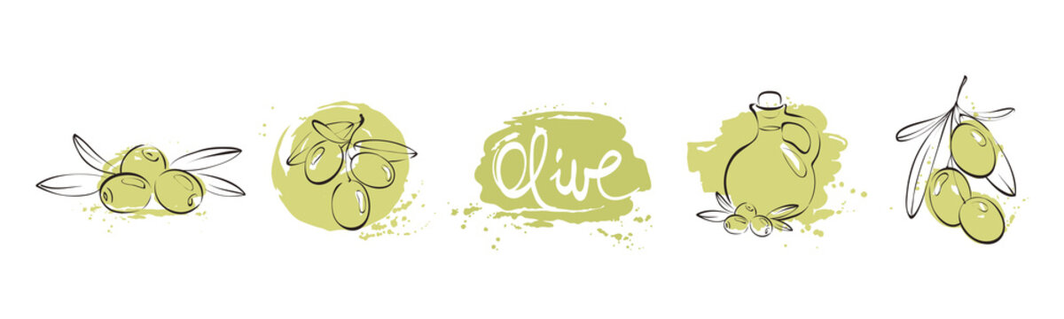 Olives. Watercolor background in berries for a logotype or label. Set vector design elements.	