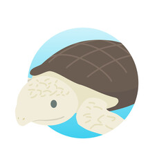 アーケロンのアイコン